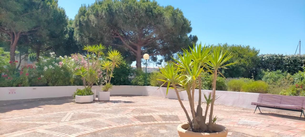 Studio Cap D'Agde La Grande Voile מראה חיצוני תמונה